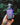 Wildcrafted Elderberry Syrup (4oz)