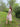 Clarity 100% Cotton Dress - Anna Smith