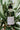 Blue Flower Bath and Body Oil